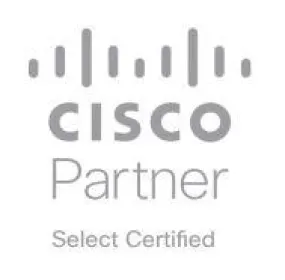 Cisco 3.2TB 2.5in Enterprise Performance 12G SAS SSD(3X endurance)