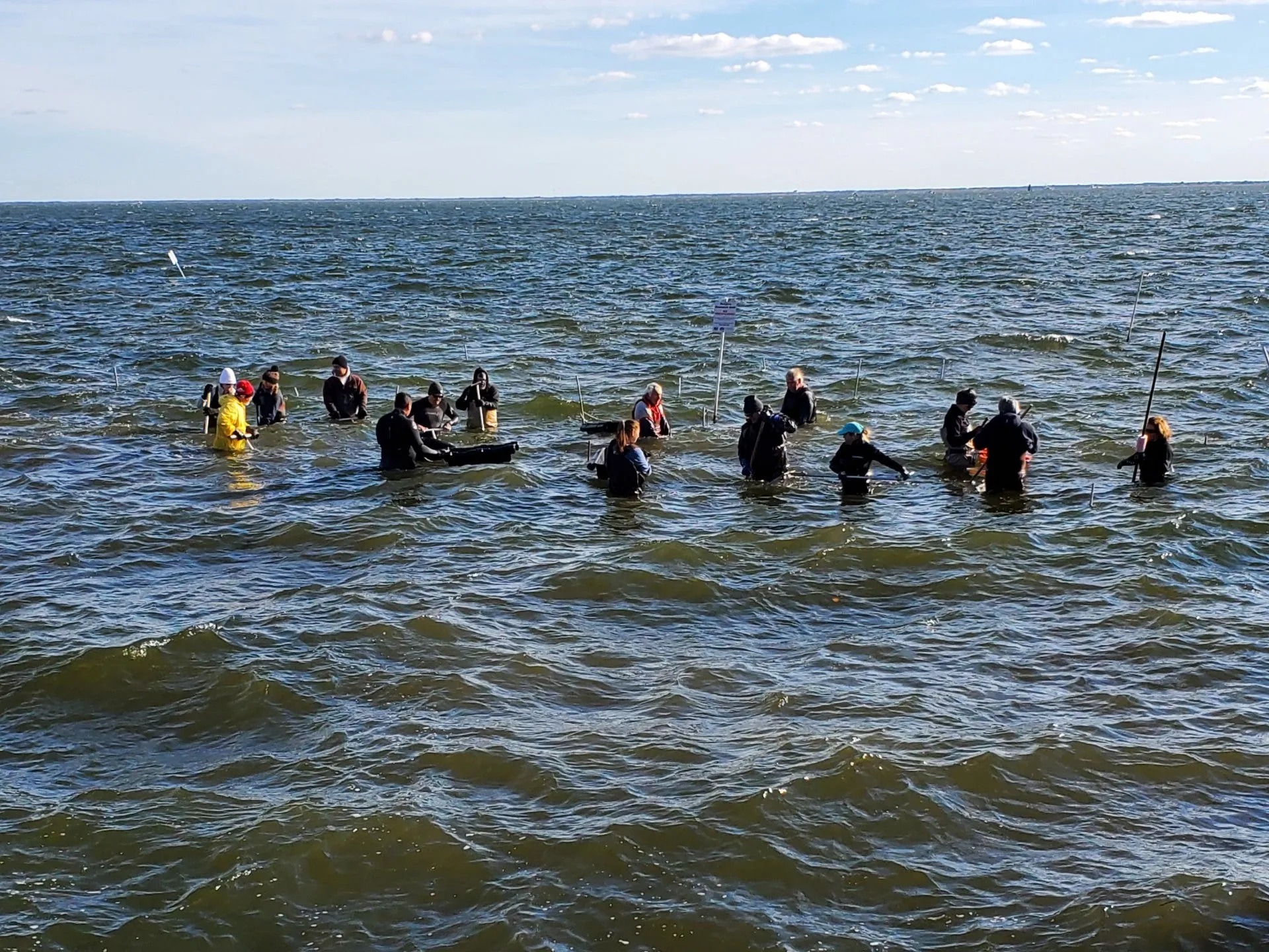 Donate to ReClam the Bay