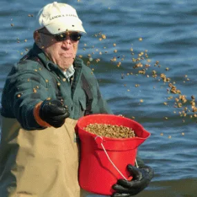 Donate to ReClam the Bay