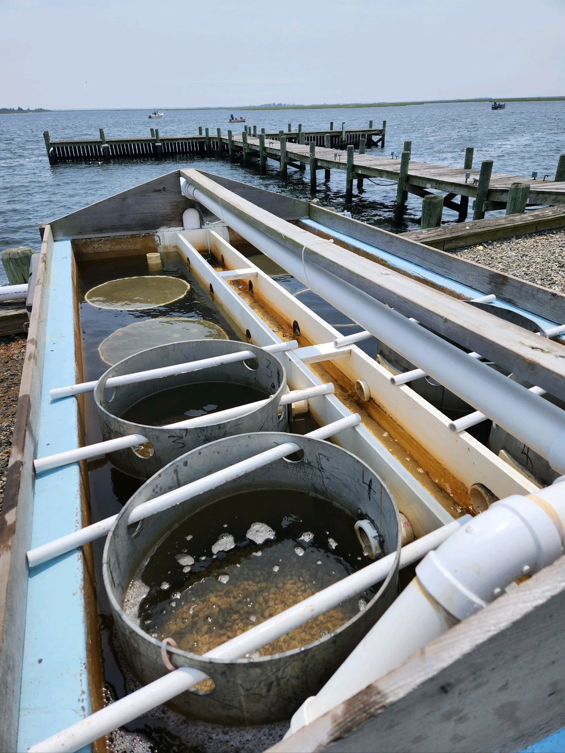 Donate to ReClam the Bay