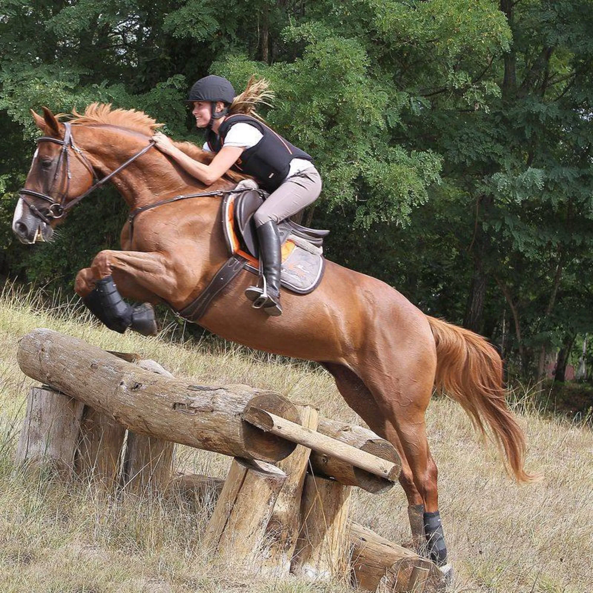 Horse Riding Girth For Horse/Pony Romeo