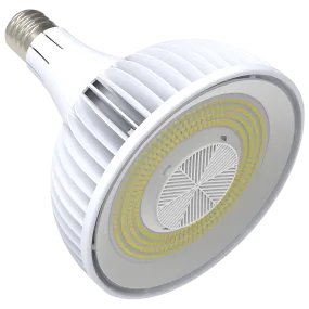 LED HID High Bay Replacement 100W-15,500LM 5000K 80 CRI E39 120-277V