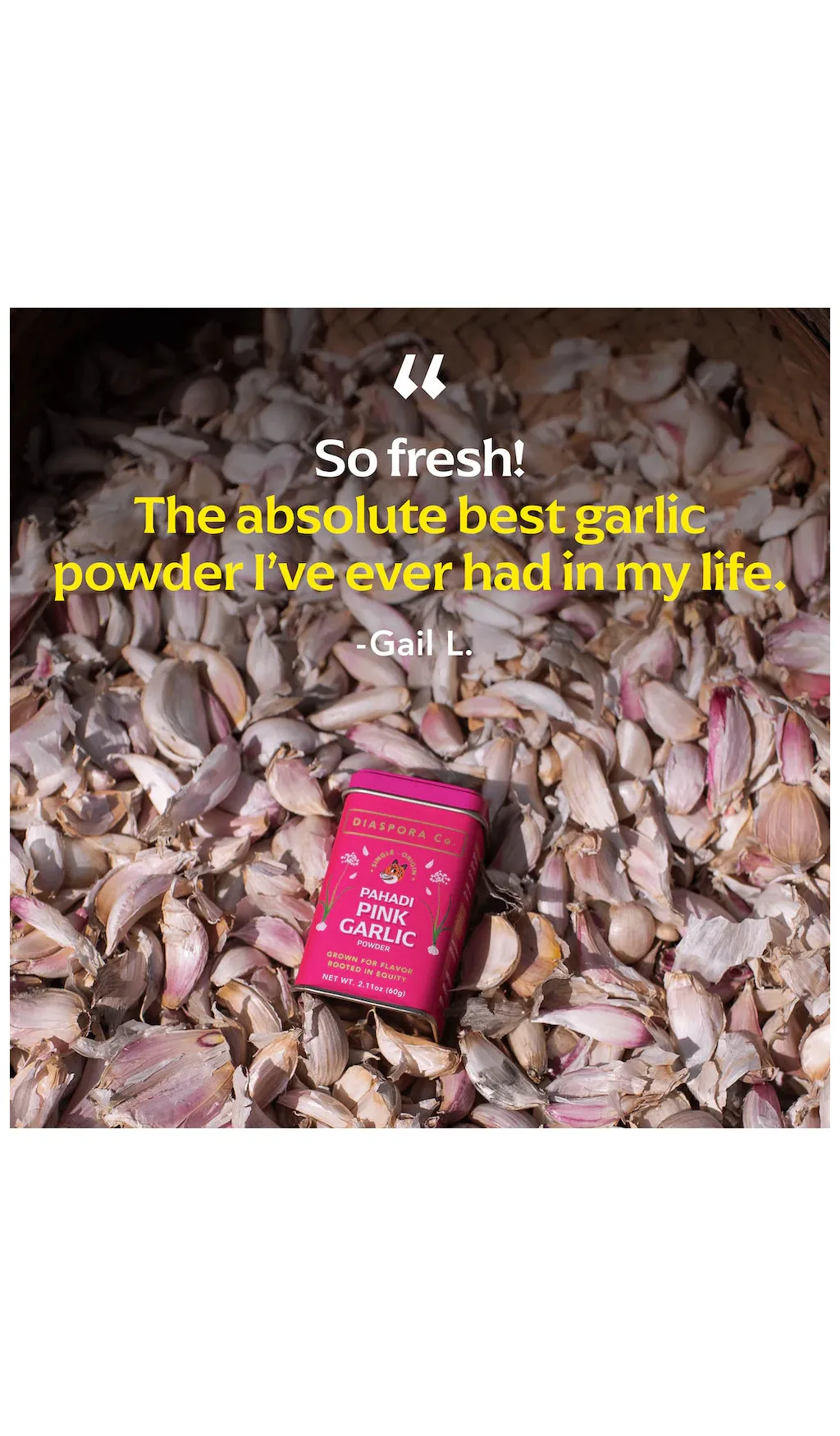 Pahadi Pink Garlic