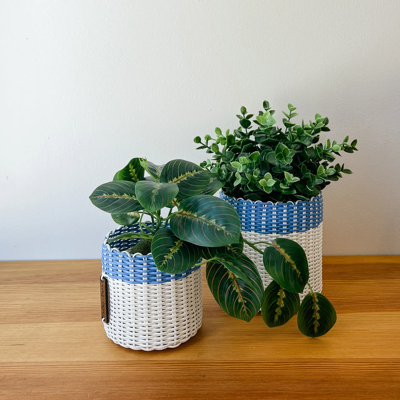 round 'catch all' / planters ~ color bands