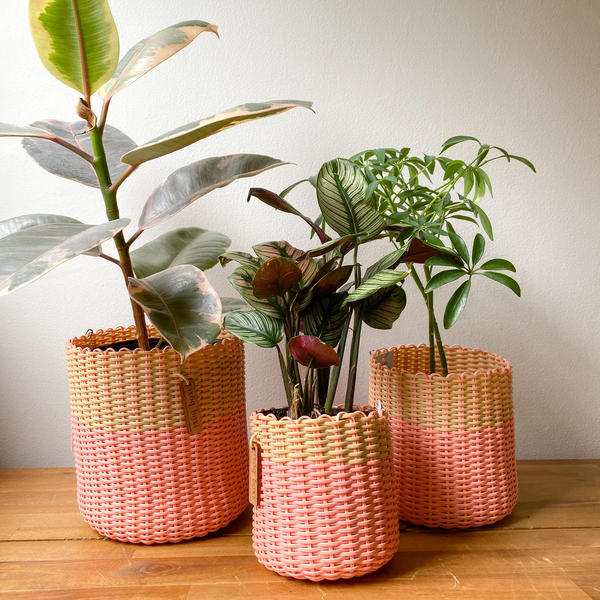 round 'catch all' / planters ~ color bands