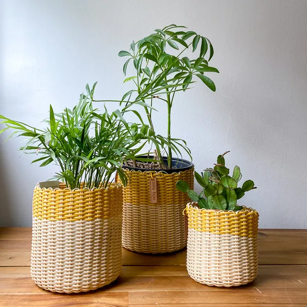 round 'catch all' / planters ~ color bands