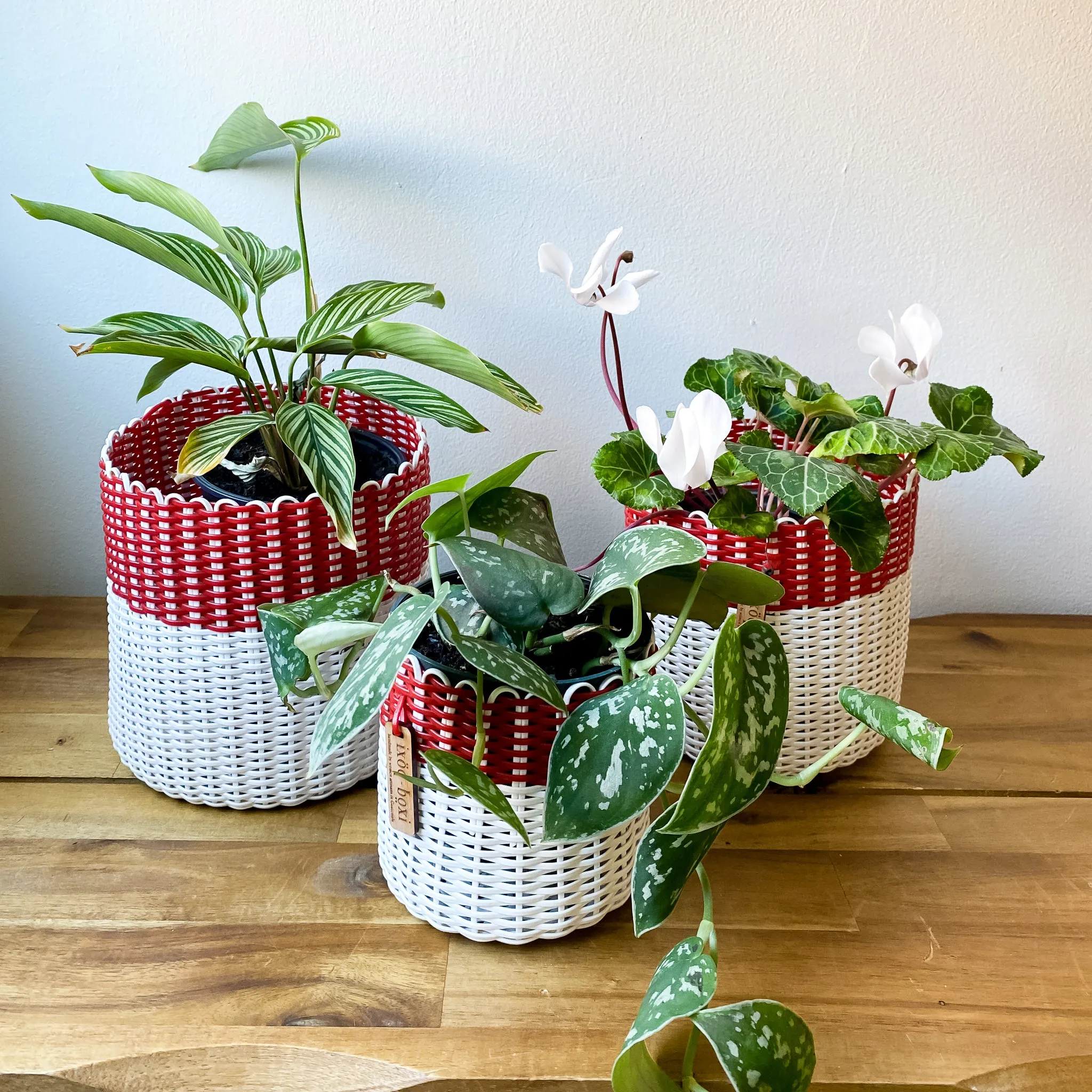 round 'catch all' / planters ~ color bands
