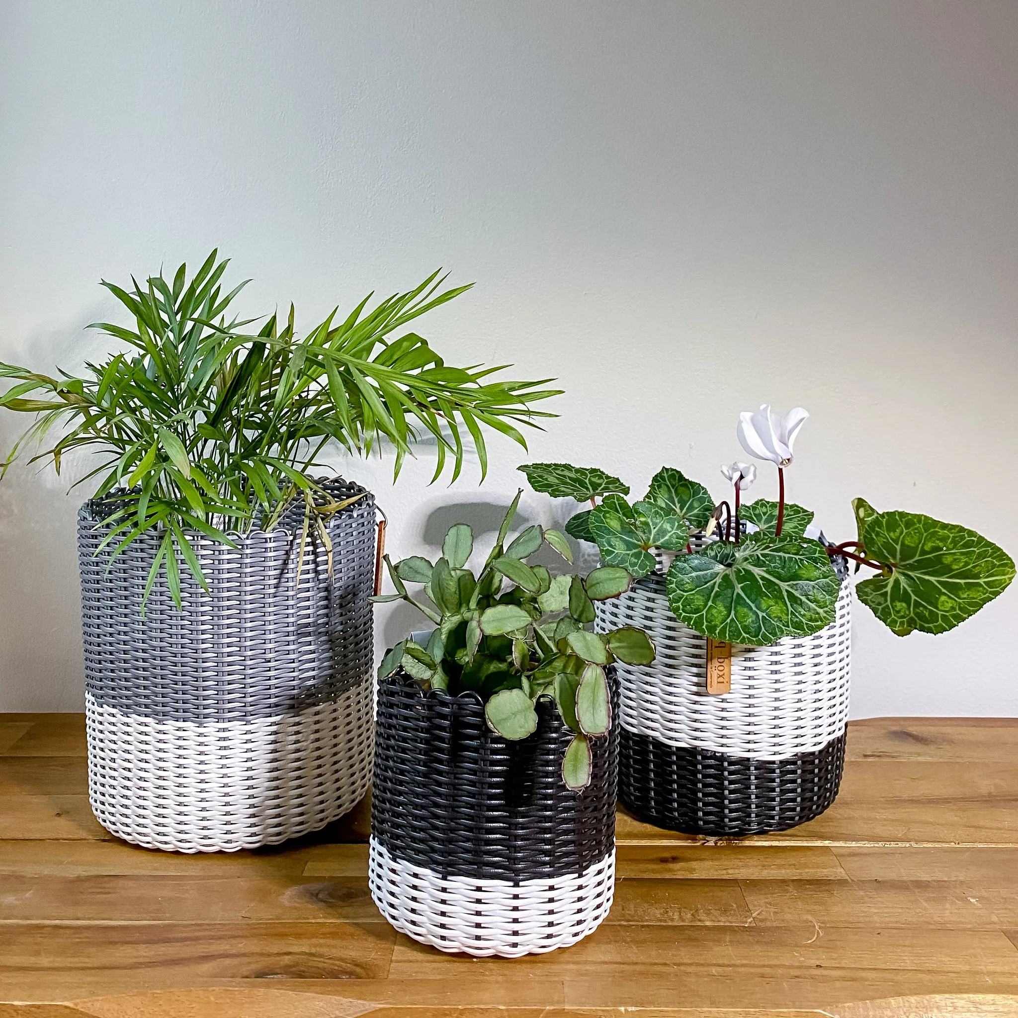 round 'catch all' / planters ~ color bands
