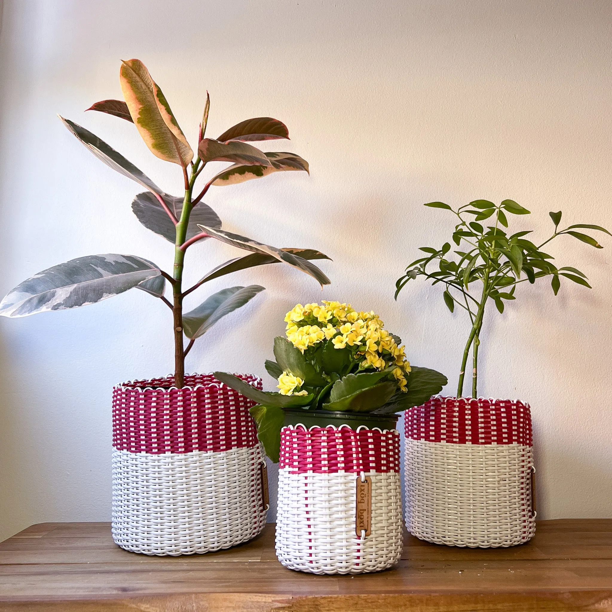 round 'catch all' / planters ~ color bands