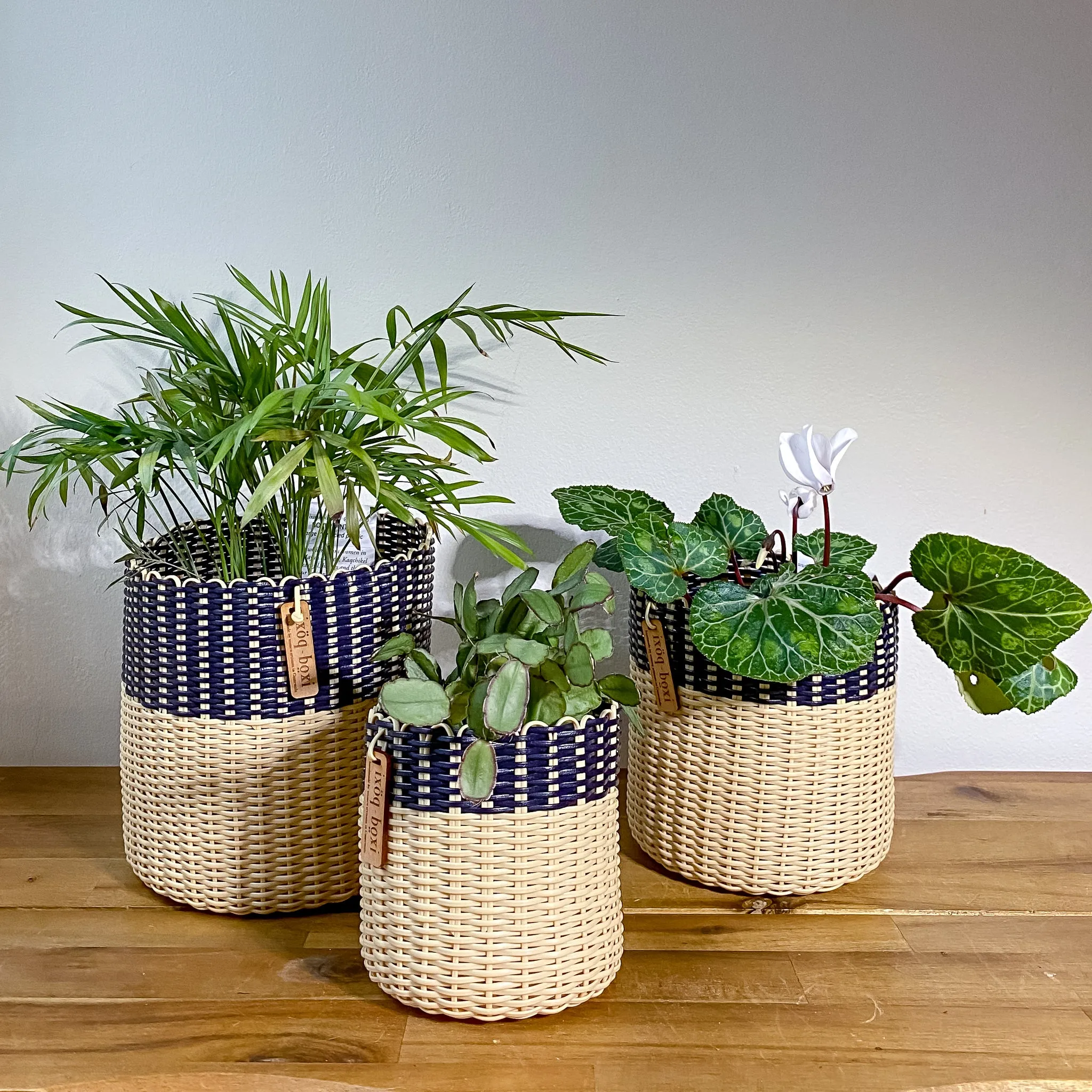 round 'catch all' / planters ~ color bands