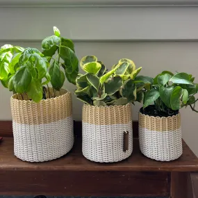round 'catch all' / planters ~ color bands