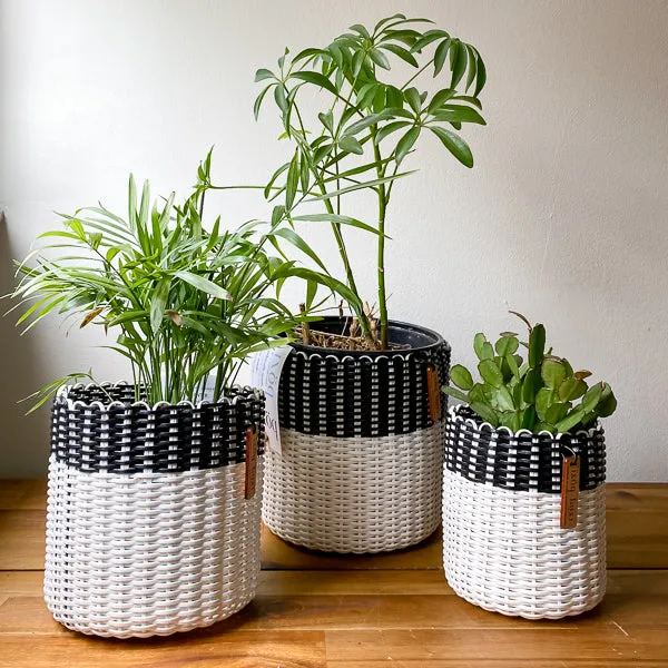 round 'catch all' / planters ~ color bands