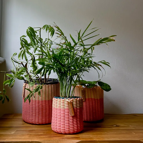 round 'catch all' / planters ~ color bands