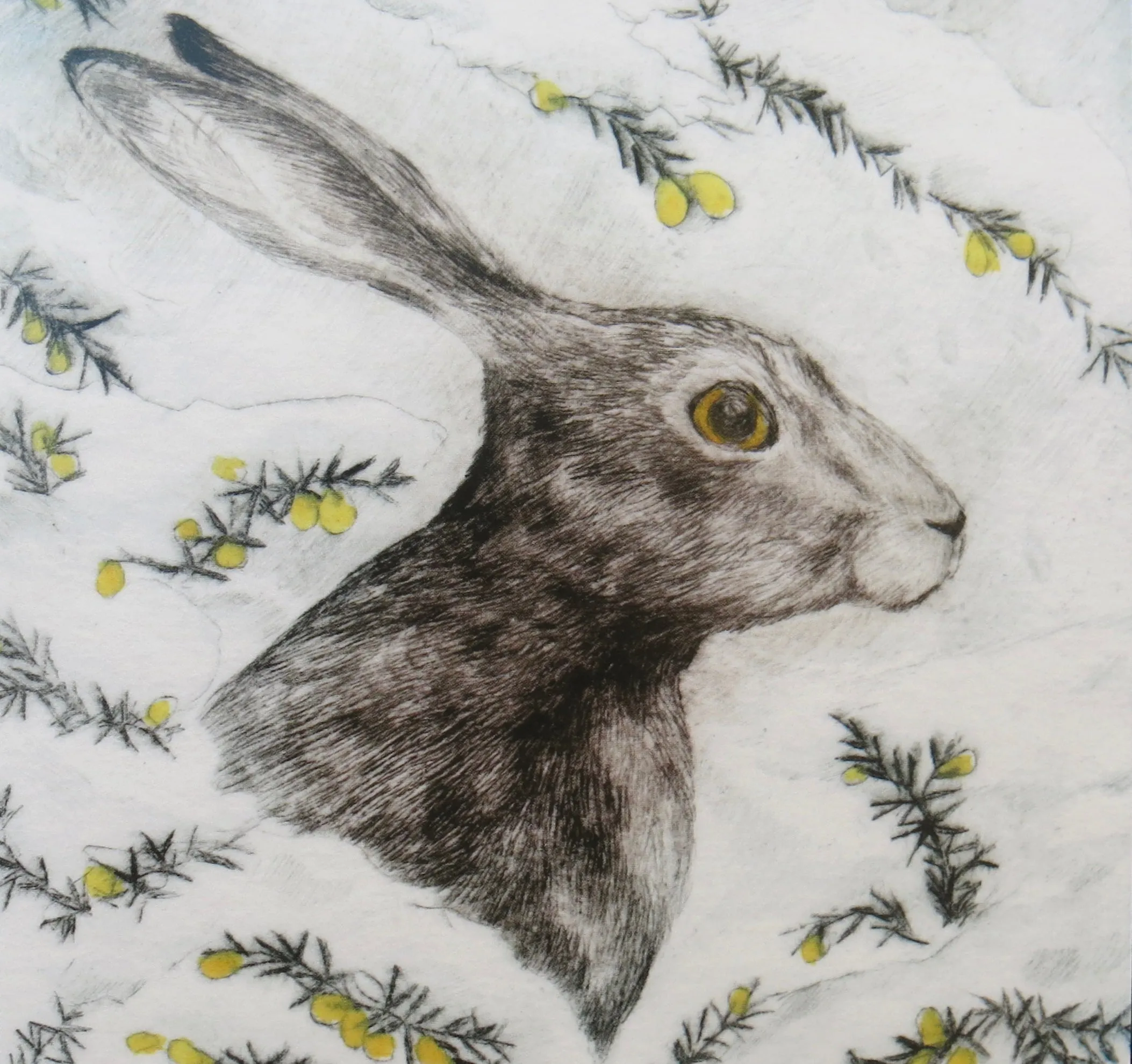 SINGLE CARD - Sarah Bays, "When The Snow Comes"
