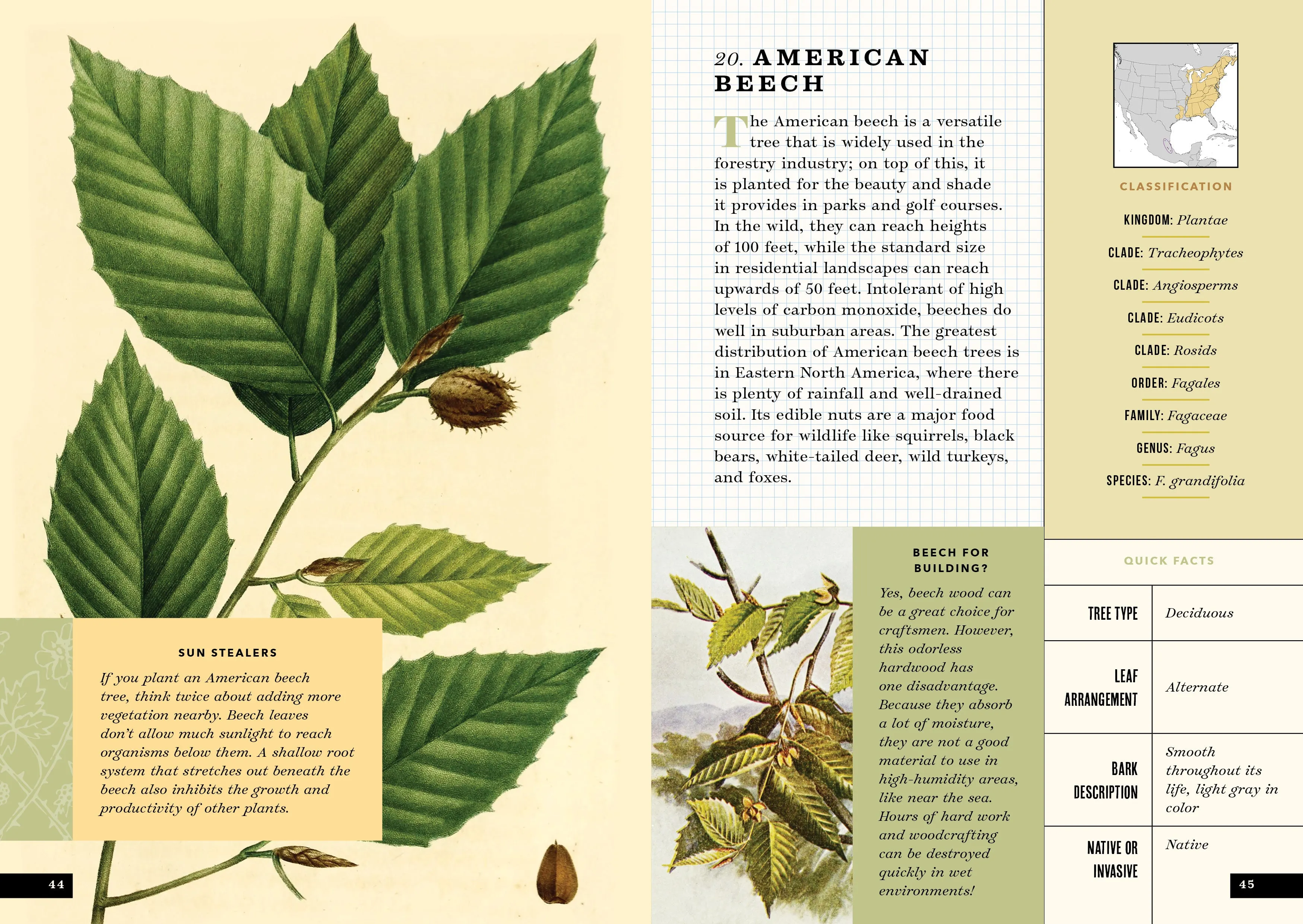 The Little Book of North American Trees
