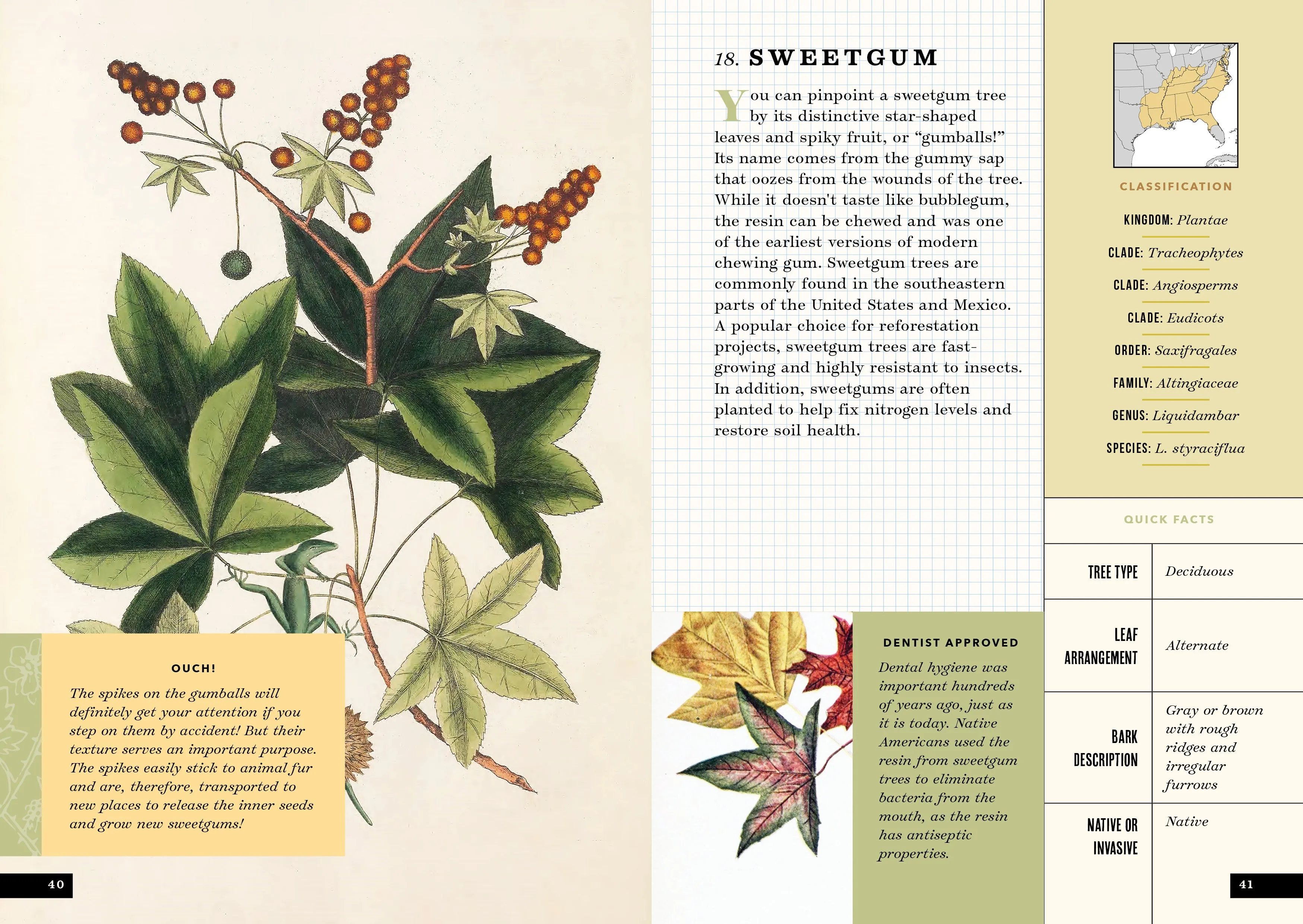 The Little Book of North American Trees