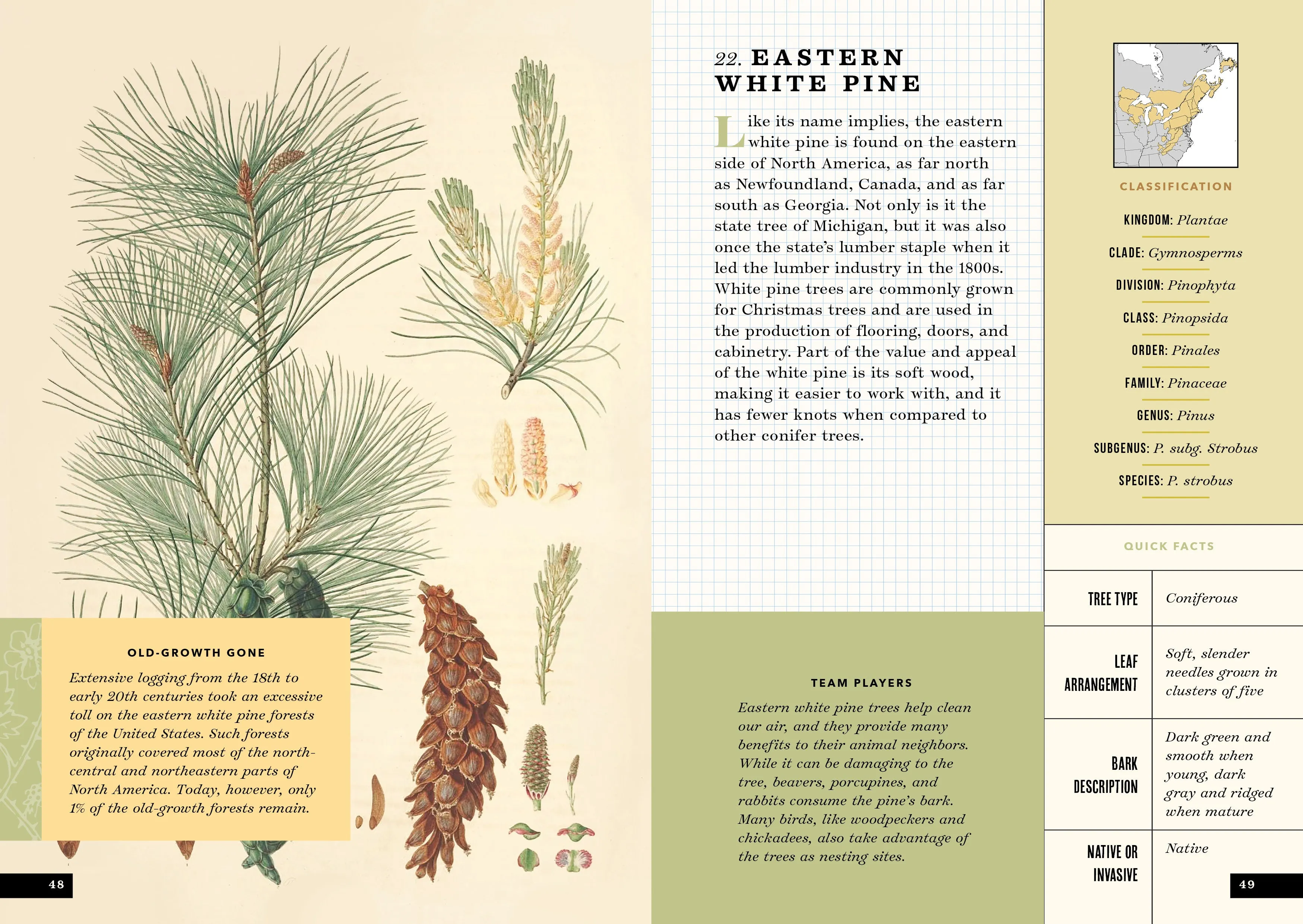 The Little Book of North American Trees