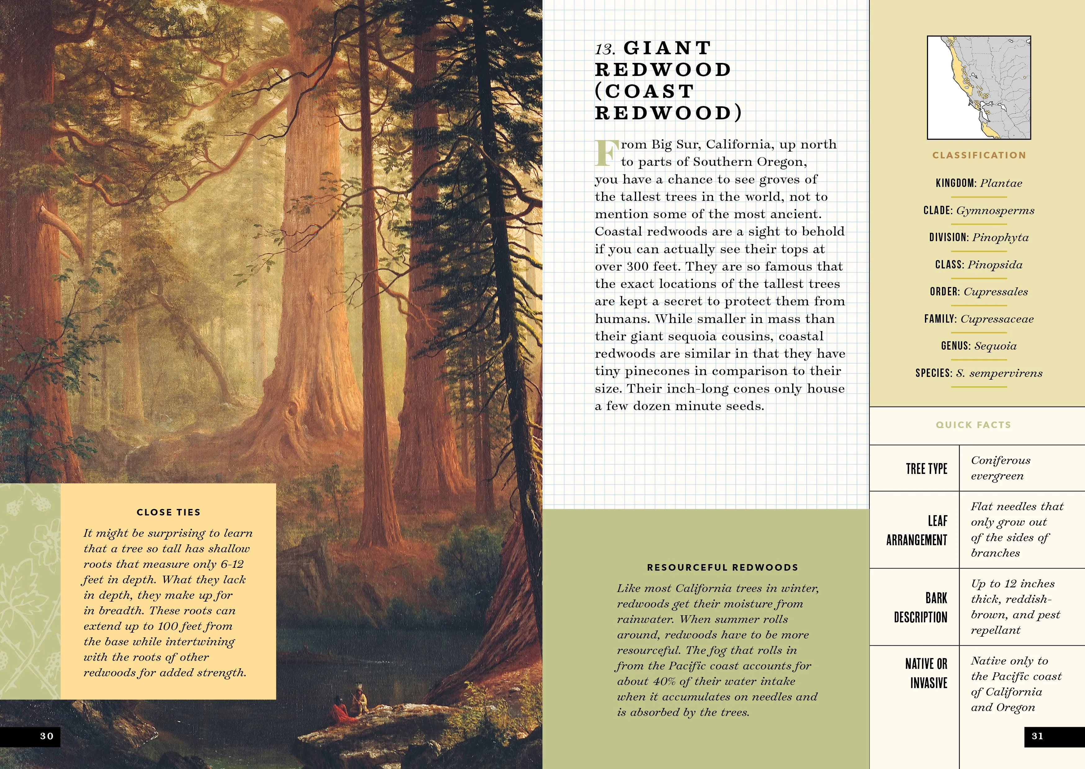 The Little Book of North American Trees