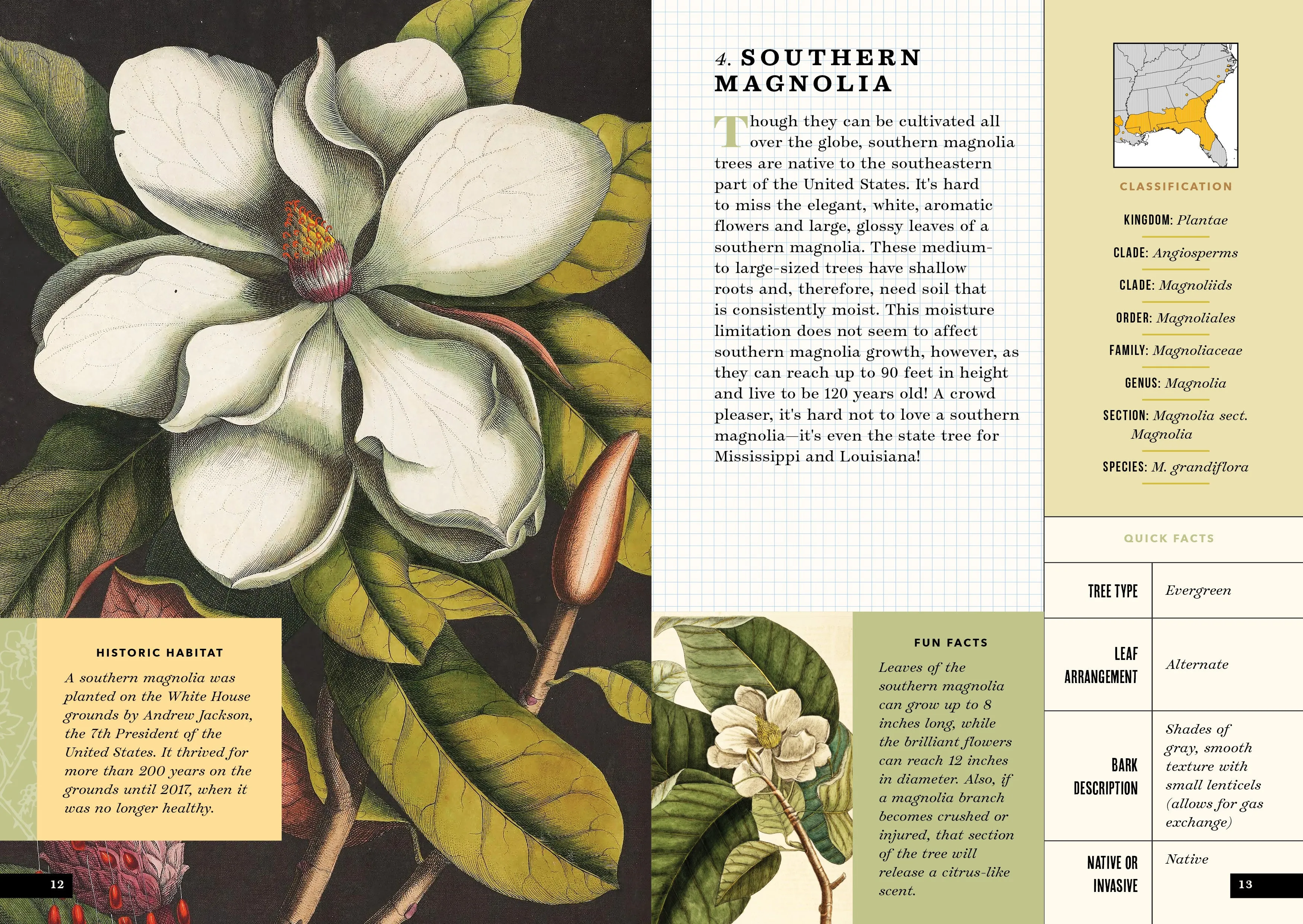 The Little Book of North American Trees