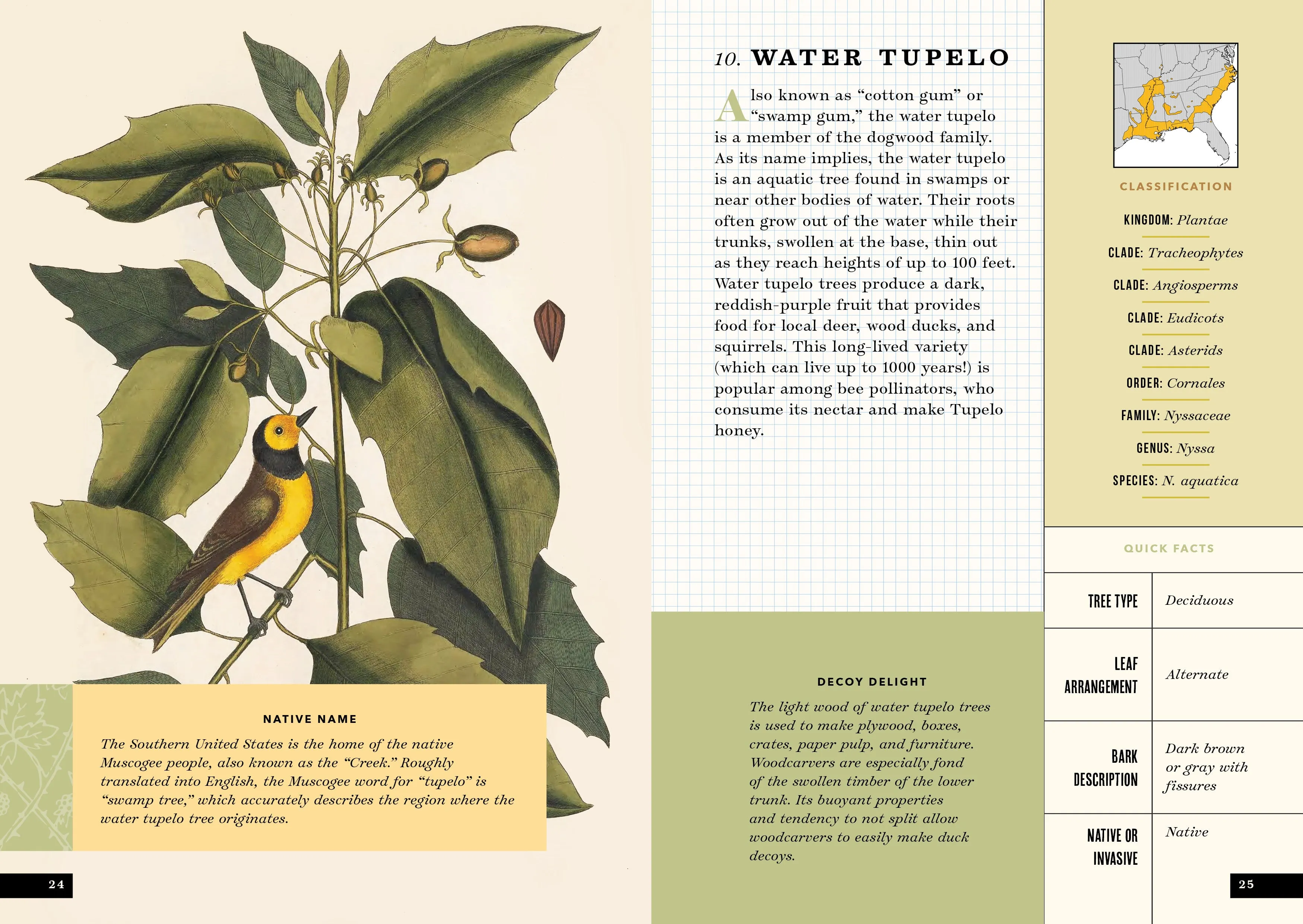 The Little Book of North American Trees