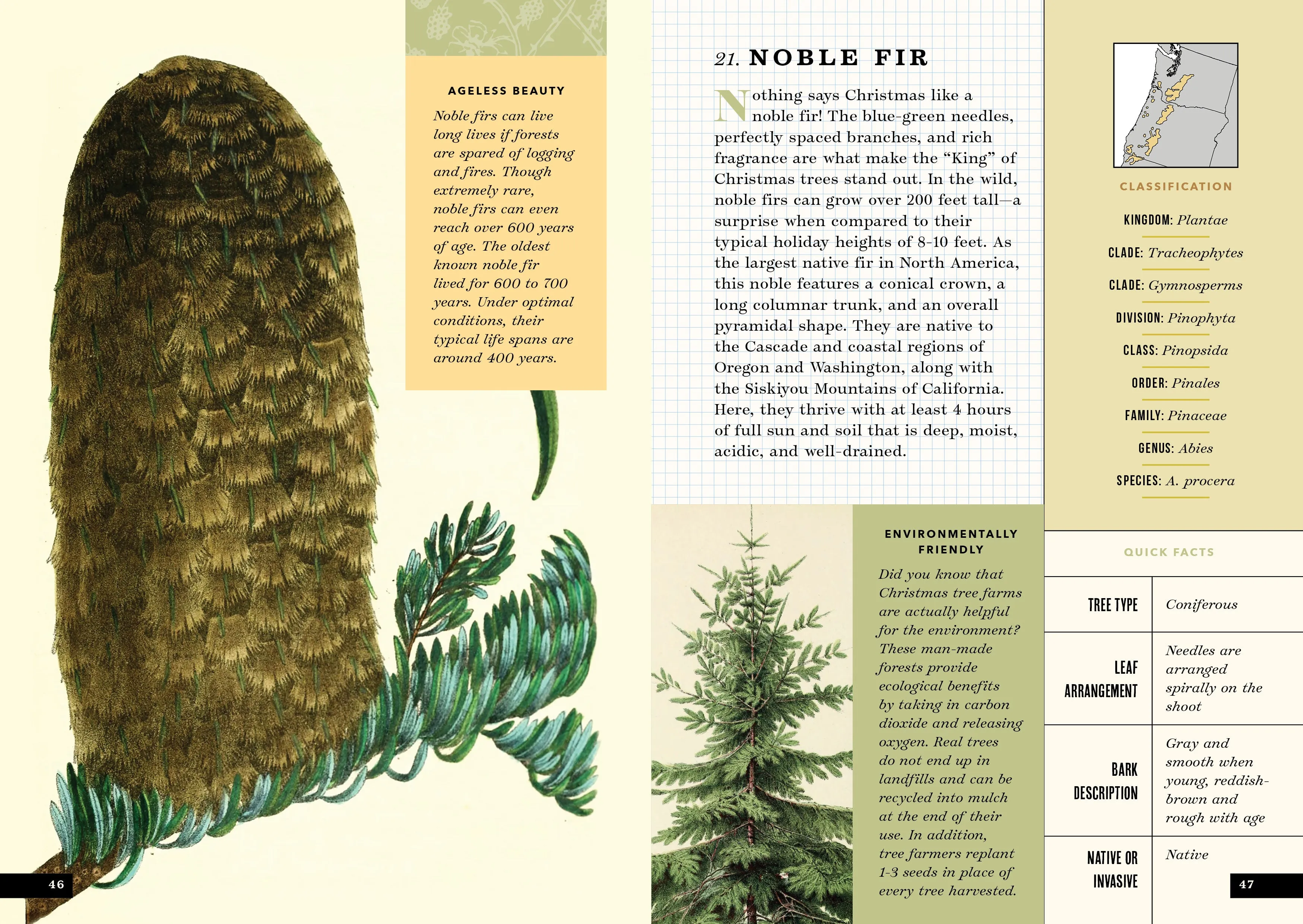 The Little Book of North American Trees