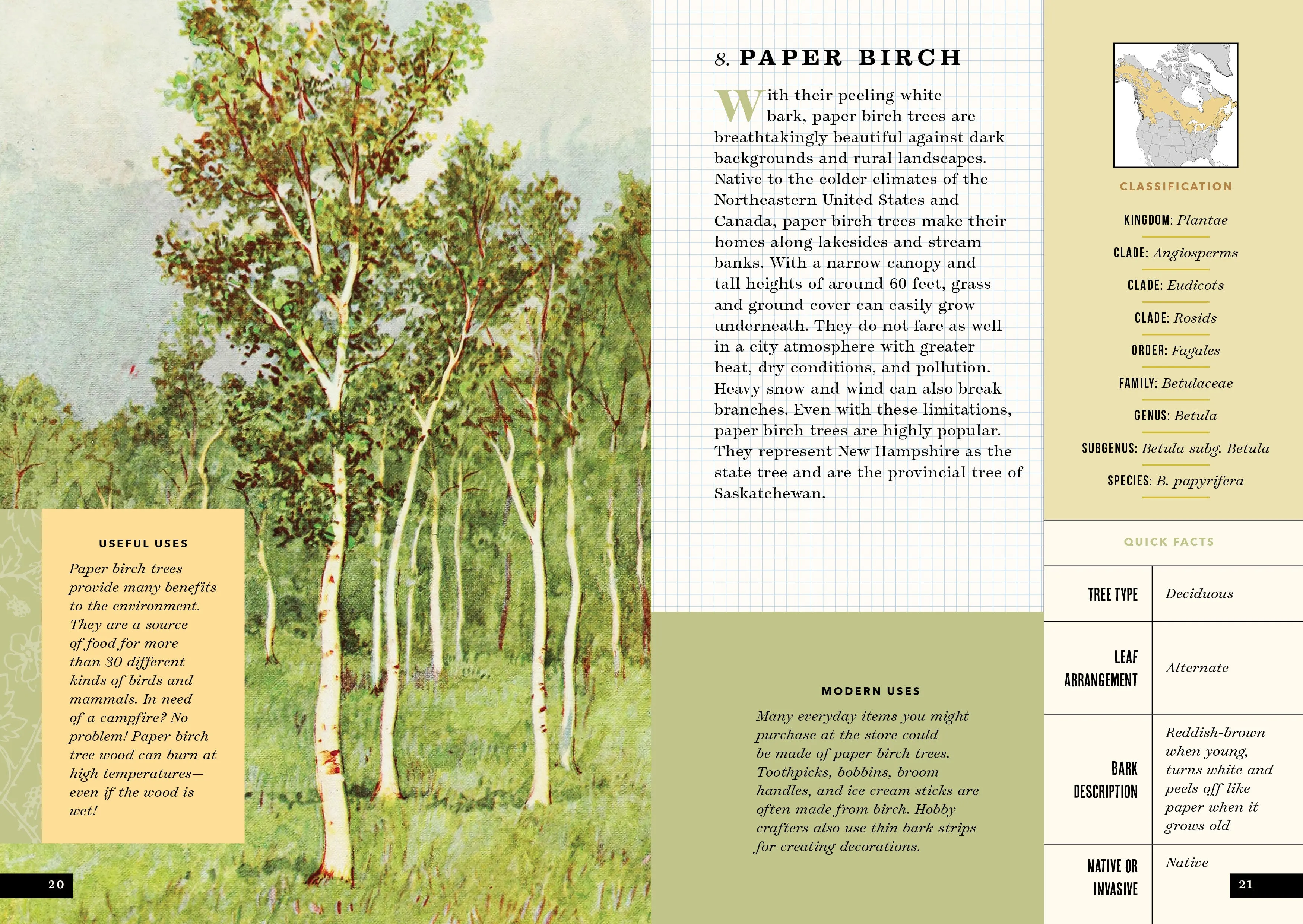 The Little Book of North American Trees